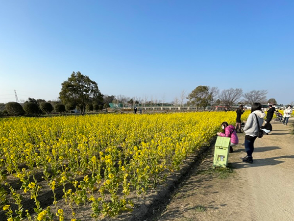 写真：院長だより